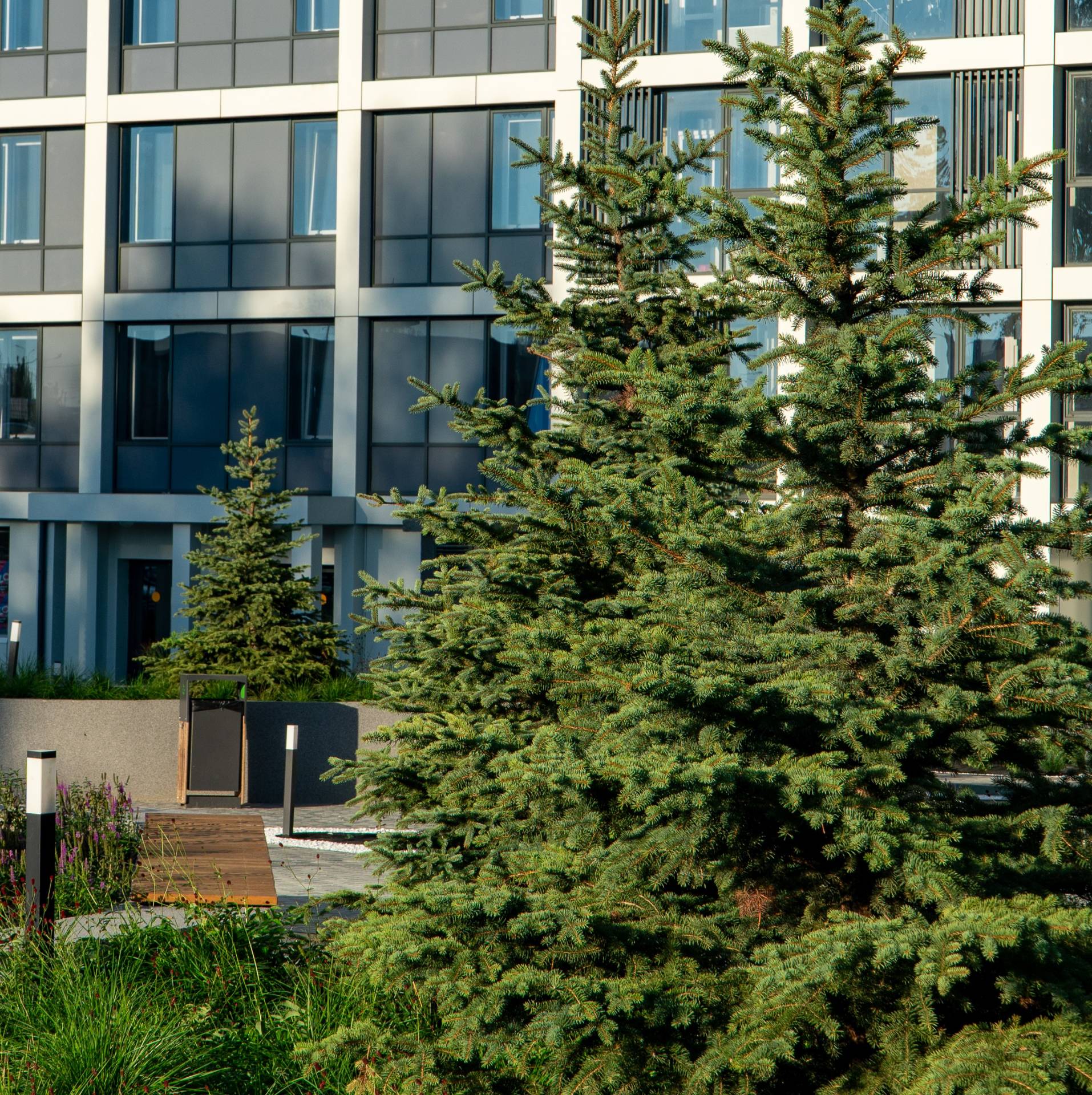 В окружении зелени