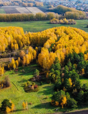 Парк для прогулок