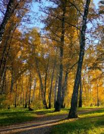 Парк Каменка